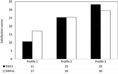 Profiles of older adults according to their life and food-related life satisfaction during the COVID-19 pandemic: the importance of the social environment